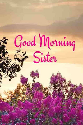 Good Morning Quotes for Sisters and Brothers