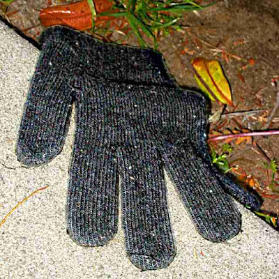 Gloves in the Wild (c) David Ocker