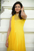 Rakul Preet Singh Gorgeous looking Photos-thumbnail-49