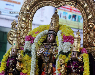 Purattasi,purappadu,Thiruvallikeni, Sri Narasimha Swamy, Theliya singar Perumal, Temple, 2017, Video, Divya Prabhandam,Utsavam,