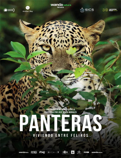pelicula Panteras: Viviendo entre felinos