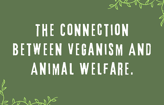 Veganism and Animal Welfare