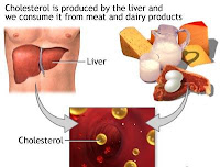Kolesterol Dalam Tubuh