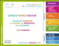 Guía CTE 2018 -Fase Intensiva - Primaria