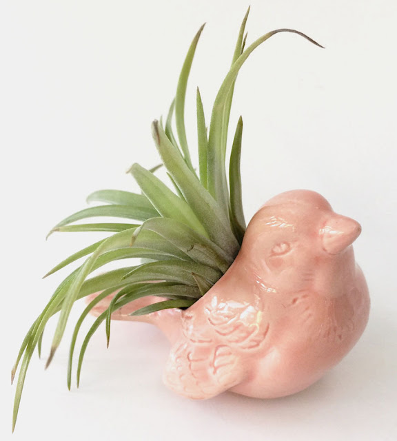 Bird Planter