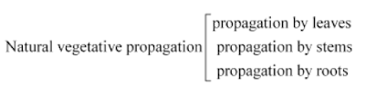 CONCEPT OF HOW DO ORGANISMS REPRODUCE