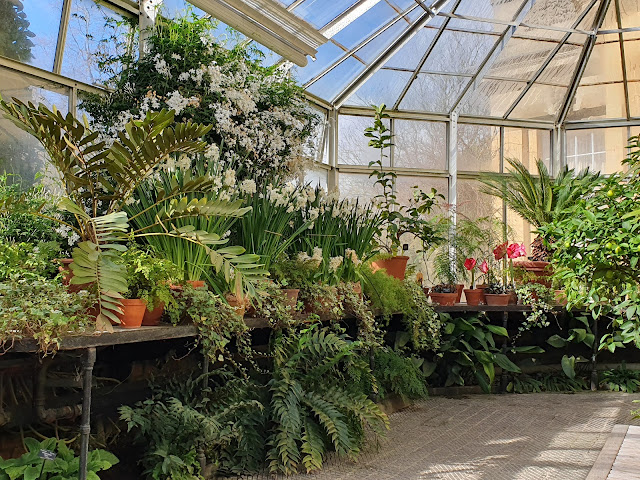 Scented hothouse at Oxford Botanical Gardens