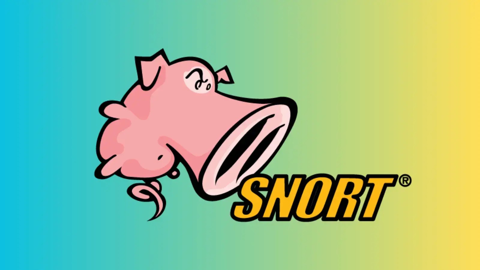 Snort 2.9.8.3 ve Snort 2.9.13.0 Talos Kuralları İçin Kullanım Ömrü Sonu