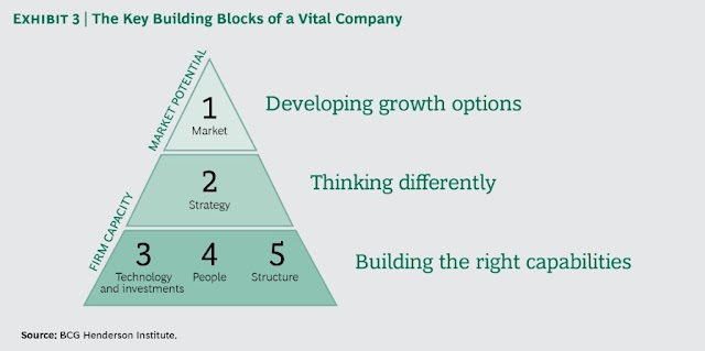 The key building block of a vital company