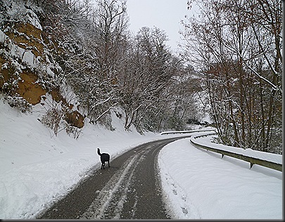 Neige A M 1 12 2010 063