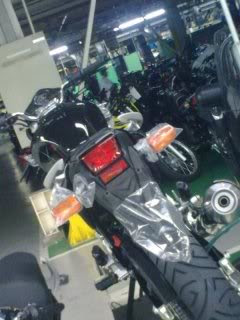 New Honda Tiger 300CC 2010