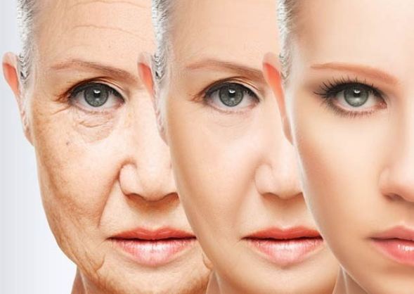 Aging ... Is Not Continuous But Comes In Three Stages, Research
