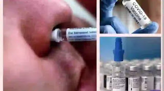 कोरोना से बचाव के लिए नाक में दी जाएगी दवा, क्या मोदी सरकार ने नेजल वैक्सीन को मंजूरी दे दी है?