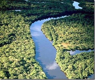 f_amazonas