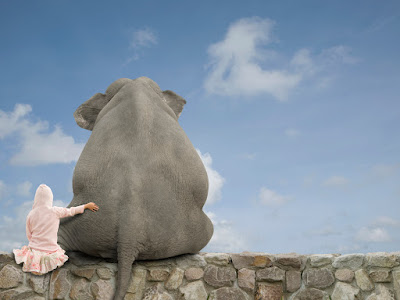 foto de niña abrazando elefante  