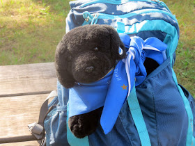 stuffed animal in a backpack