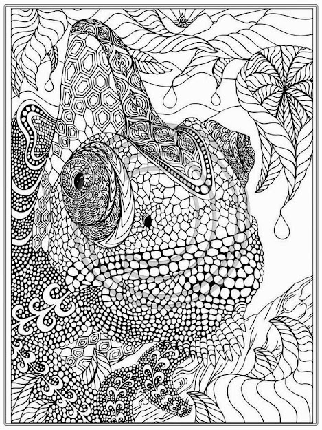 Printable Iguana Adult Coloring Pages  Realistic Coloring Pages