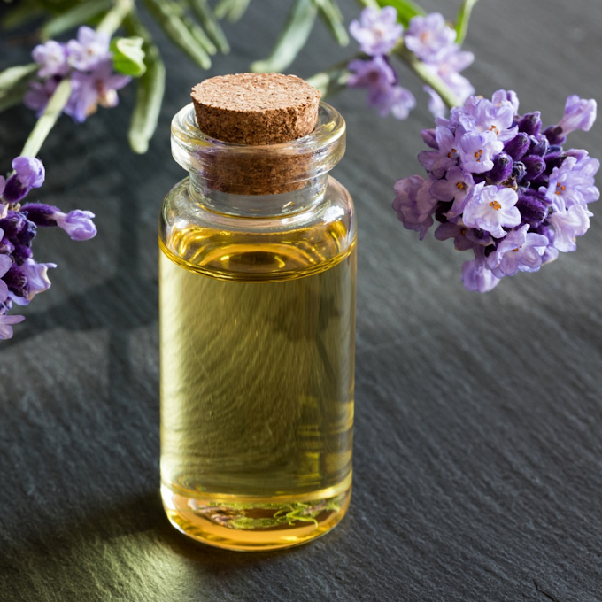 Lavender Oil (30 ml)