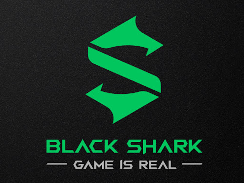 new logo black shark