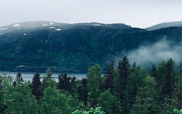 Norris Point, Gros Morne NP, tiny trailer camping