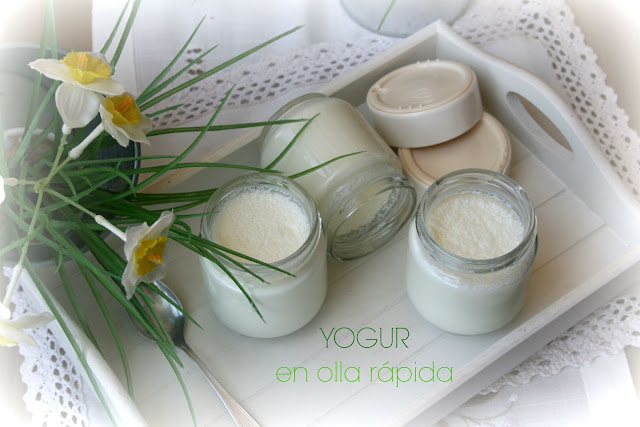 yogur casero, yogur en olla rápida, Cookeo, Moulinex