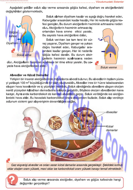 6. Sınıf Fen Bilimleri Tuna Matbaa Yayınları Ders Kitabı Cevapları Sayfa 49