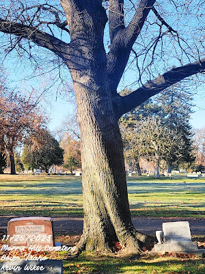 11/26/2023 Morris Hill Cemetery Boise, Idaho  Kevin Wikse