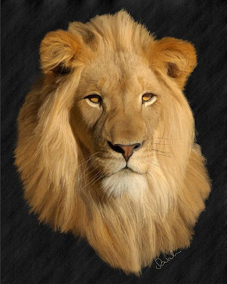 Lion, Big Cat, Feline, Wild Animal, Digital, Hand Painted Portrait, Painting, 