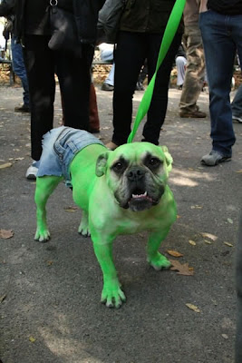 Perro Hulk