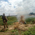 Operação policial descobre 12 toneladas de maconha em localidades rurais no norte da Bahia