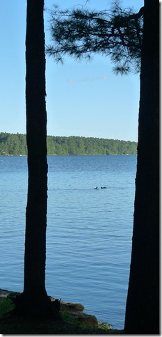 L1040456