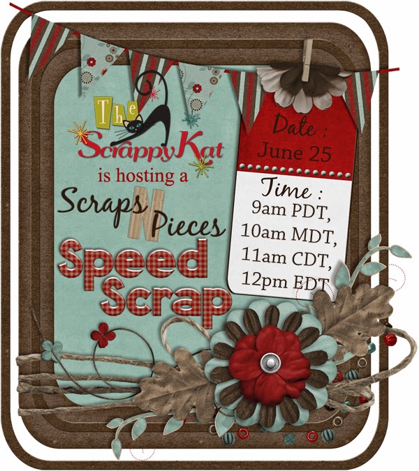 http://www.scraps-n-pieces.com/forum/forumdisplay.php?23-Speed-Scraps