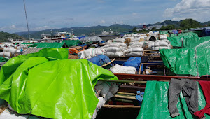 Puluhan Truk Pengangkut Sapi Asal Bima Antri di Pelabuhan Gili Mas