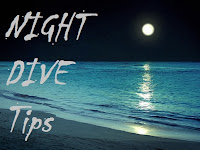 tips night dive
