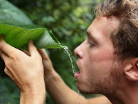5 Cara Bertahan Hidup (Survival) Di Hutan
