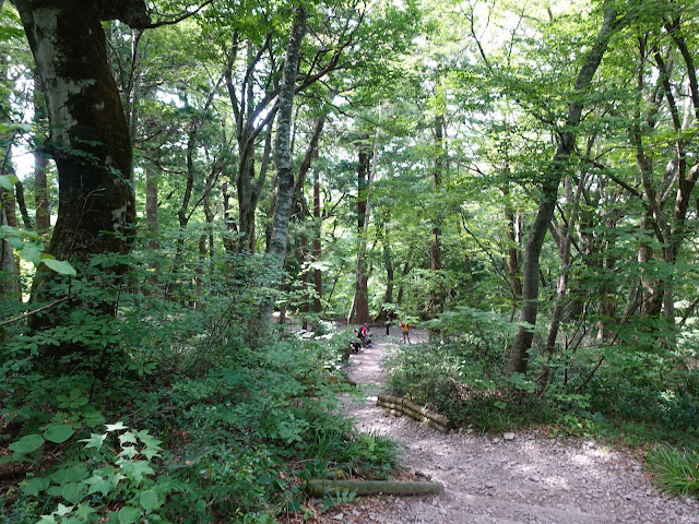 8月の大山夏山登山道