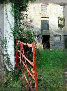 Ruins of Fairview Oilmills, Clondalkin Dublin taken 2008 ©nolene dowdall