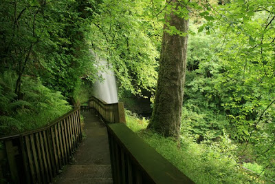 Glencar Waterfall, county Leitrim