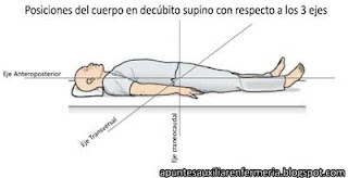 En posición de decúbito supino tenemos 3 ejes: el anteroposterior formando una línea horizontal de cabeza a los pies, el craneocaudal como una línea vertical que cruza el abdomen de arriba a abajo y el transversal que realiza un corte de izquierda a derecha