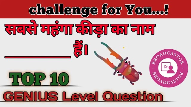GK Question - GK Question In Hindi - Current Affairs in Hindi