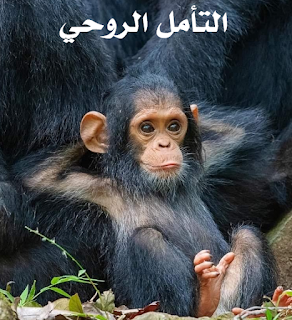 التأمل الروحي