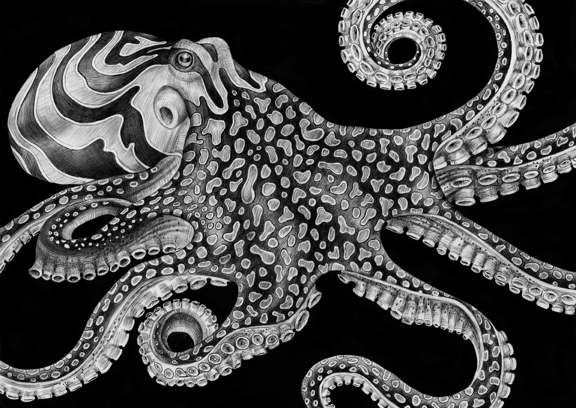 Tim Jeffs Art: September 2013