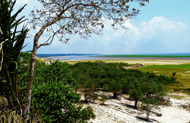 Zona del amazonas