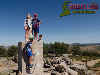 Campamento de verano en la naturaleza