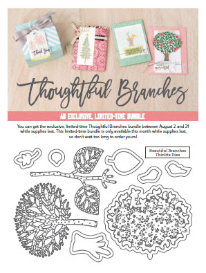 Craft with Beth: Thoughtful Branches Sneak Peek!