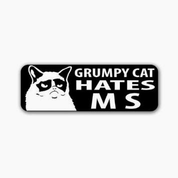 Grumpy Cat HATES MS Multiple Sclerosis Donation Car Sticker Decal 