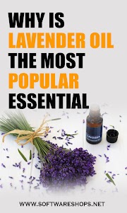 Why Is Lavender Oil The Most Popular Essential Oil?
