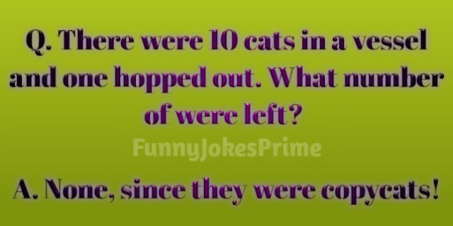 funny jokes cat, English jokes