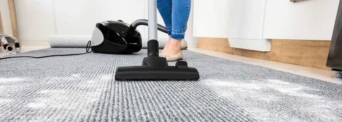 Top Carpet Steam Cleaning Service in Templestowe