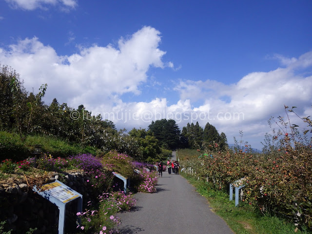 Fushoushan Farm apple picking